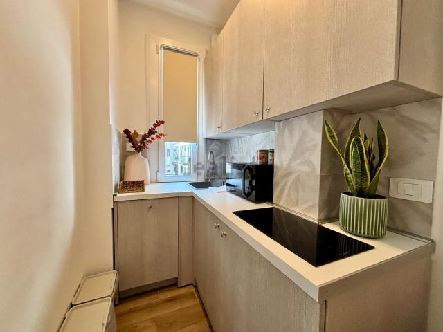 Appartamento in affitto di 31 m² in Via Giancarlo Sismondi, 50