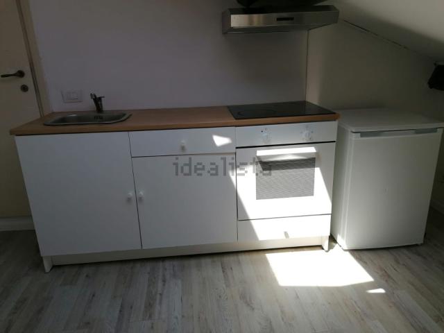 Appartamento in affitto di 31 m² in Via Giuseppe Guerzoni, 7