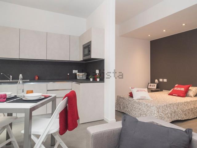 Appartamento in affitto di 32 m² in Via Mosè Bianchi, 94