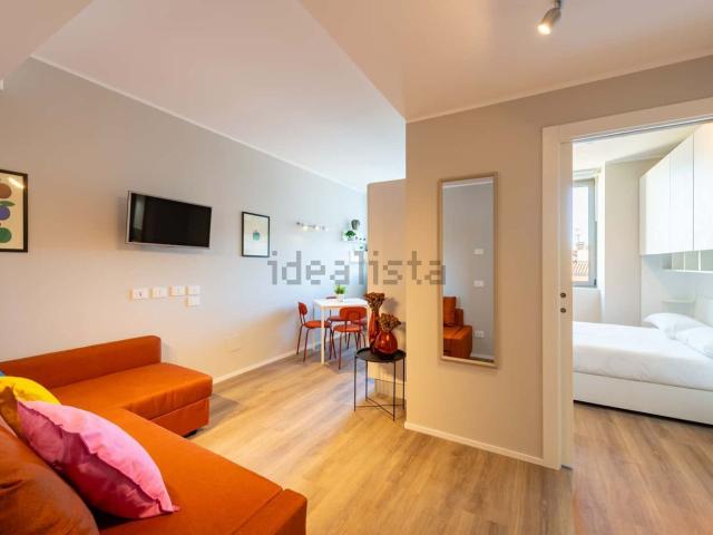 Appartamento in affitto di 34 m² in Via Muzio Attendolo Detto Sforza, 11