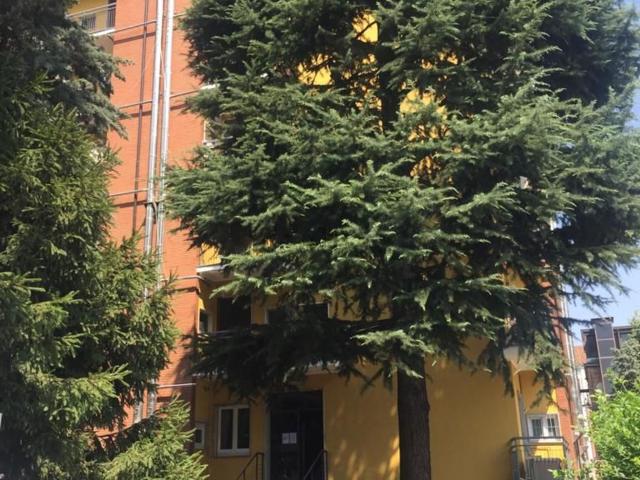 Appartamento in affitto di 35 m² in Via Bari, 8