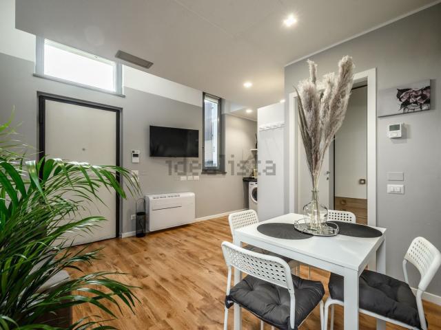 Appartamento in affitto di 36 m² in Via Egidio Folli