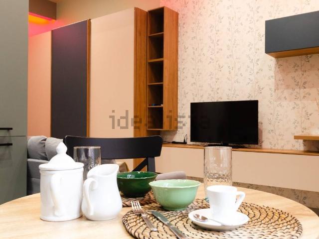Appartamento in affitto di 36 m² in Via Giovanni Argentero, 4