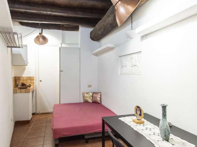 appartamento in affitto in Trastevere, Roma 1 camera da letto