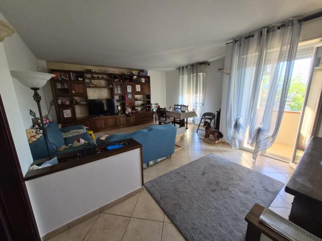 Appartamento in Affitto Montale