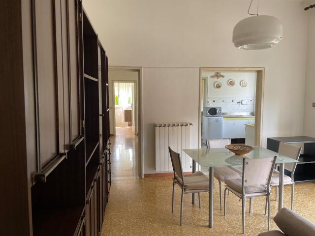 Appartamento in affitto Pietrasanta