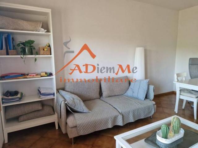 Appartamento in Affitto Pisa Via Basilicata