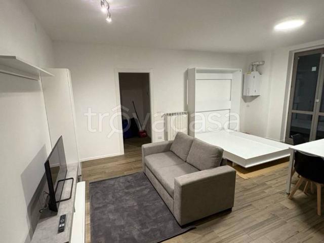 Appartamento in in affitto da privato a Codogno viale Trivulzio, 1, arredato, terrazzo, da privato TrovaCasa
