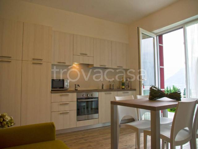 Appartamento in in affitto da privato a Colico via Bassana, 25, giardino privato, da privato, vista lago TrovaCasa