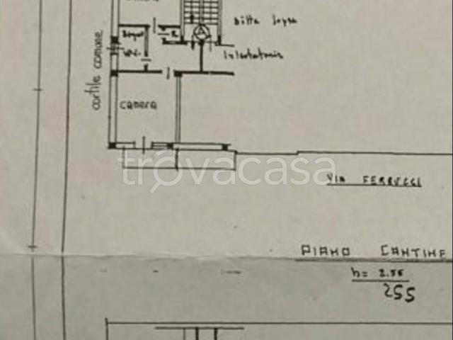 Appartamento in in affitto da privato a Collegno via Francesco Ferrucci, 0, arredato, da privato, doppia esposizione TrovaCasa
