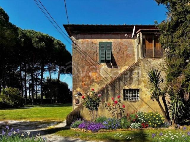 Appartamento in in affitto da privato a Collesalvetti via delle Colline, 62, giardino privato, da privato, caminetto TrovaCasa