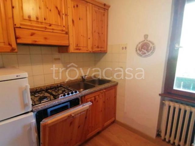 Appartamento in in affitto da privato a Cortina d'Ampezzo via Varentin, 1, box, da privato, vasca idromassaggio TrovaCasa