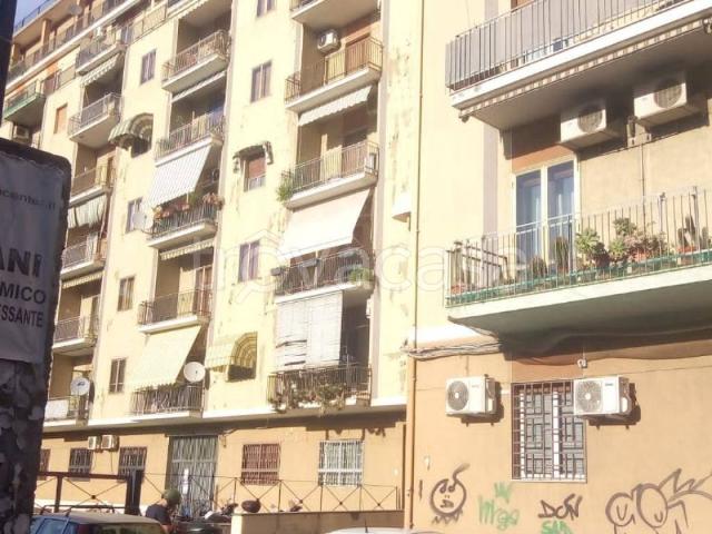 Appartamento in in affitto da privato a Catania via Carlo Forlanini, 122, arredato, da privato, ascensore TrovaCasa
