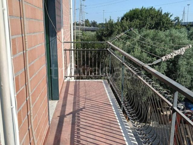 Appartamento in in affitto da privato a Catania via Andrea Cesalpino, 9, da privato TrovaCasa