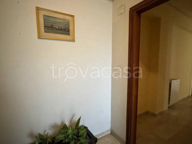 Appartamento in in affitto da privato a Catania via Aldebaran, 9, da privato, ascensore, contesto signorile TrovaCasa