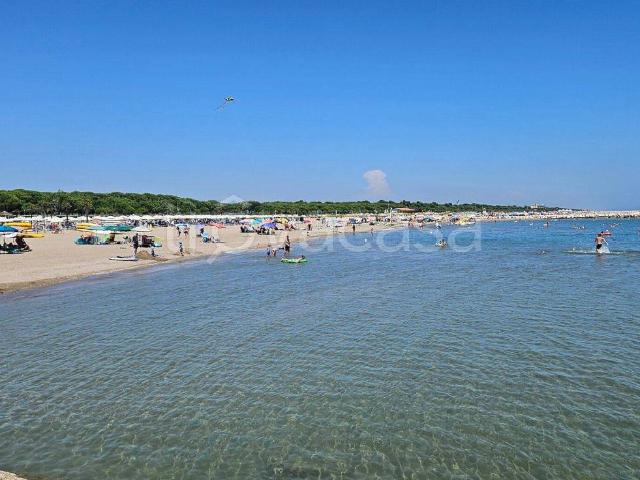 Appartamento in in affitto da privato a Cavallino Treporti via Isarco, terrazzo, da privato TrovaCasa