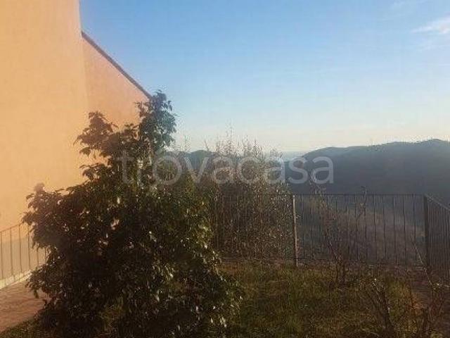 Appartamento in in affitto da privato a Calice Ligure via Costa, 88, giardino privato, posto auto, da privato TrovaCasa