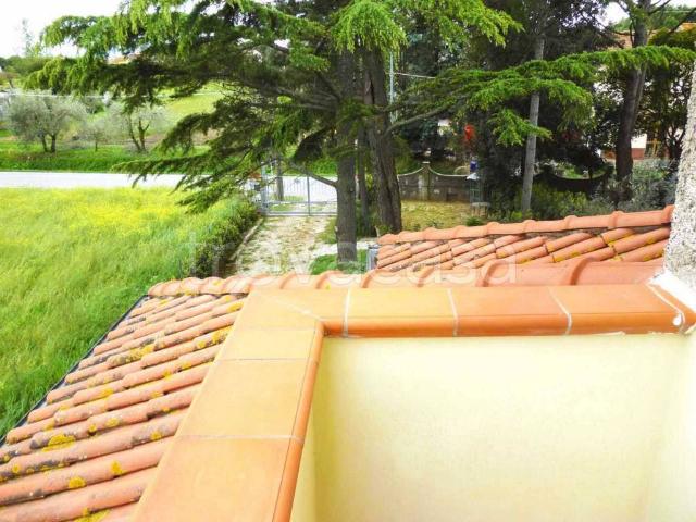 Appartamento in in affitto da privato a Cascina via Simone da Cascina, 55, giardino, posto auto, da privato TrovaCasa