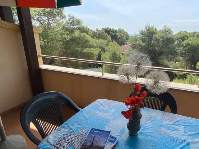 Appartamento in in affitto da privato a Castellaneta via Mare Spumeggiante, 31, arredato, da privato, ascensore TrovaCasa