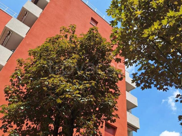 Appartamento in in affitto da privato a Castenaso via Gozzadini, 1, da privato, ascensore, ristrutturato TrovaCasa