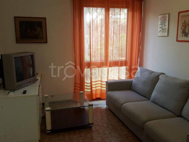 Appartamento in in affitto da privato a Castiglione della Pescaia via Burano, 4, da privato, ristrutturato TrovaCasa