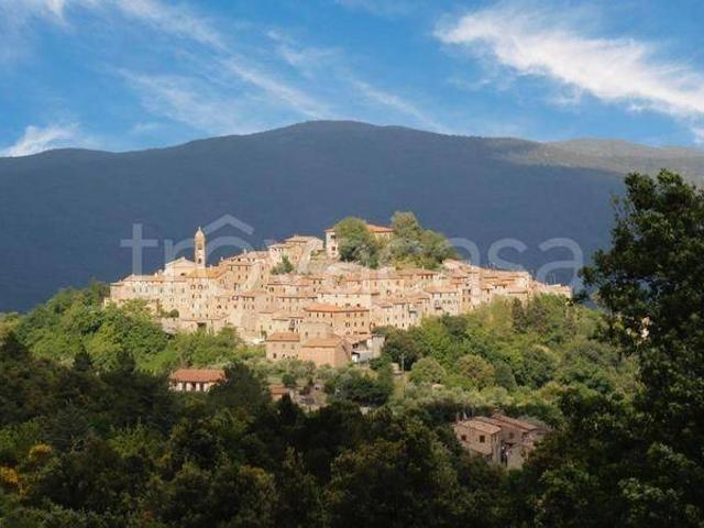 Appartamento in in affitto da privato a Civitella Paganico via Federigo Tozzi, 9, da privato, caminetto, ristrutturato TrovaCasa