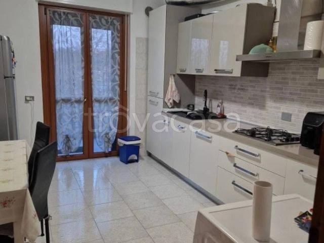 Appartamento in in affitto da privato a Cremona via dei Tigli, 5, da privato, cucina a vista TrovaCasa