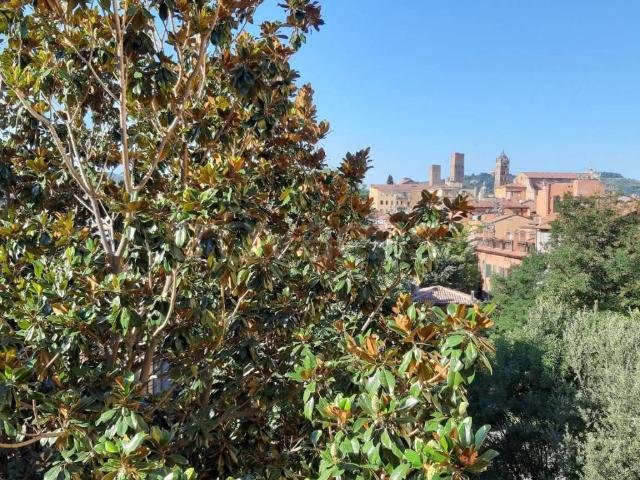 Appartamento in in affitto da privato a Bologna via Irnerio, 19, arredato, da privato, ascensore TrovaCasa