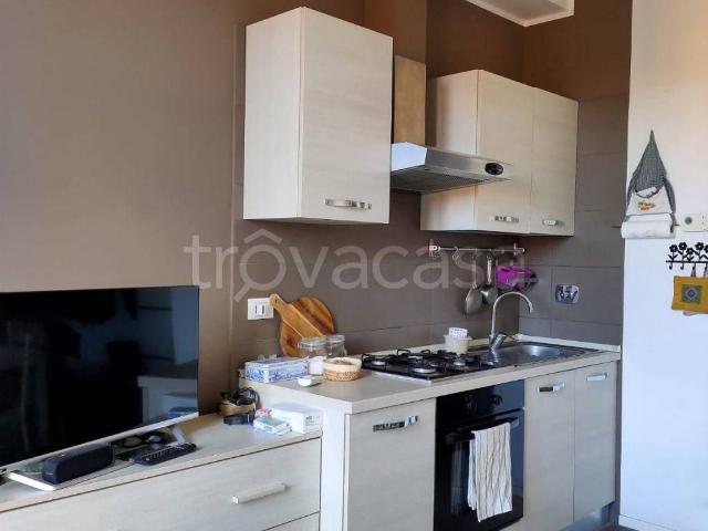Appartamento in in affitto da privato a Bologna via Pietro Albertoni, 23, da privato, balcone, angolo cottura TrovaCasa
