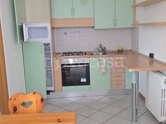 Appartamento in in affitto da privato a Borgomanero via Fratelli Maioni, 117, arredato, box, da privato TrovaCasa
