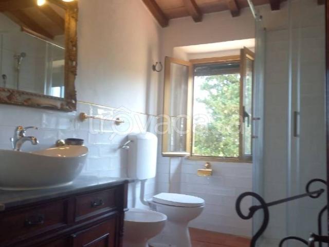 Appartamento in in affitto da privato a Bagno a Ripoli via Lilliano e Meoli, da privato, rustico, balcone TrovaCasa