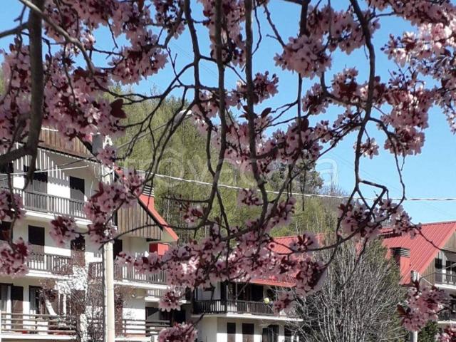 Appartamento in in affitto da privato a Bardonecchia via Susa, 13, giardino, da privato, ascensore TrovaCasa