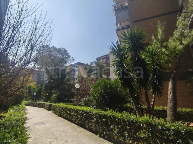 Appartamento in in affitto da privato a Bari via Papa Innocenzo xii, Snc, arredato, da privato, ristrutturato TrovaCasa