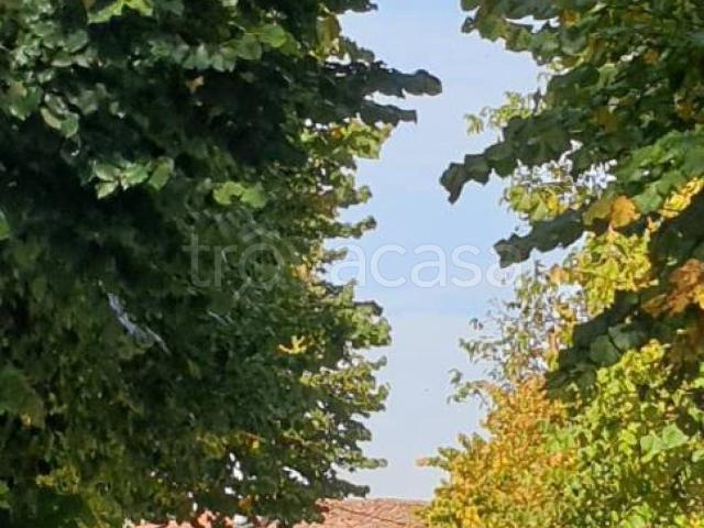Appartamento in in affitto da privato a Belvedere Langhe via Pietro Donadei, 4, da privato TrovaCasa