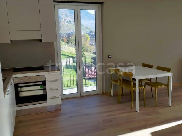 Appartamento in in affitto da privato a Buglio in Monte via Valeriana, 5, arredato, giardino privato, box TrovaCasa