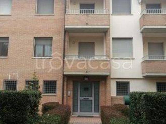 Appartamento in in affitto da privato a Galliera via Risorgimento, 12, terrazzo, da privato, riscaldamento autonomo TrovaCasa