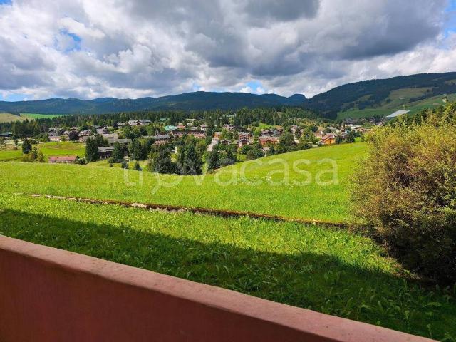 Appartamento in in affitto da privato a Gallio via Rodolo, Snc, da privato, vista panoramica TrovaCasa
