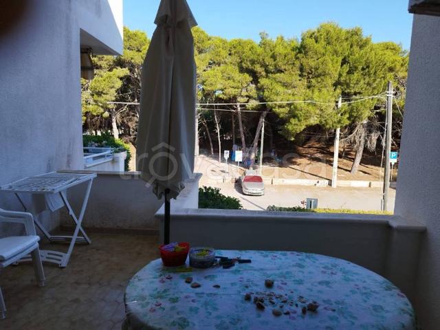 Appartamento in in affitto da privato a Gallipoli via Capricorno, 11, da privato TrovaCasa