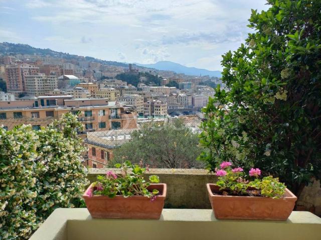 Appartamento in in affitto da privato a Genova largo San Francesco da Paola, 20, arredato, giardino, da privato TrovaCasa