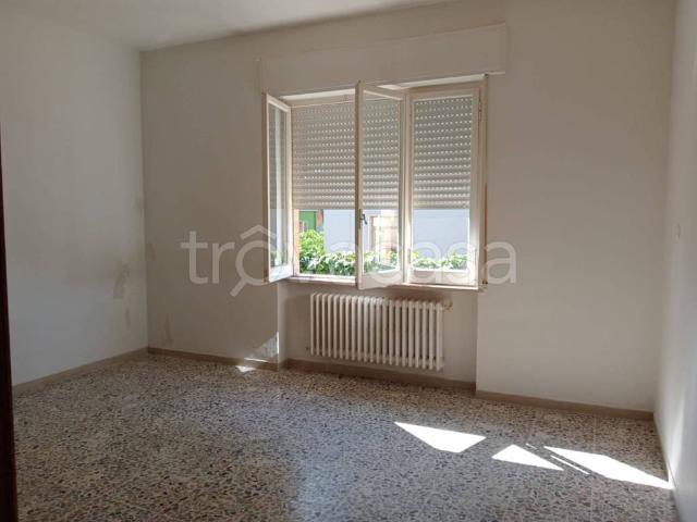Appartamento in in affitto da privato a Giulianova via Aristide Gabelli, giardino, da privato TrovaCasa