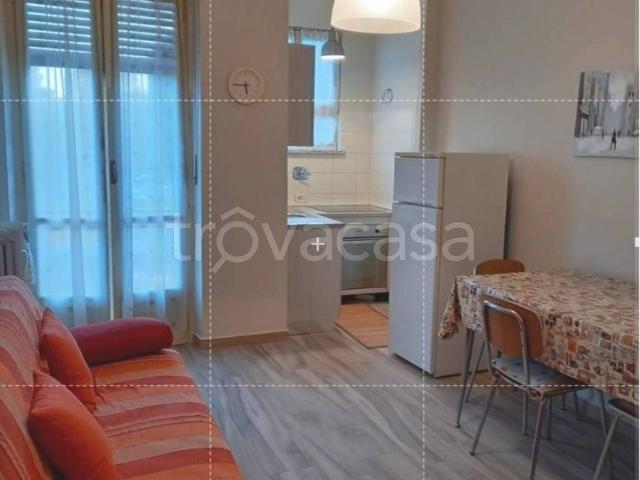 Appartamento in in affitto da privato a Grugliasco via Generale Antonio Cantore, 50, arredato, da privato, doppia esposizione TrovaCasa
