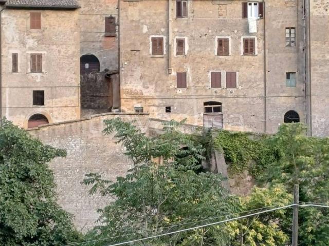 Appartamento in in affitto da privato a Grotte di Castro via della Fratta, 2, da privato, ristrutturato, centrale TrovaCasa