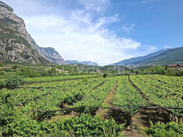 Appartamento in in affitto da privato a Dro via Torre, 3, da privato, riscaldamento a pavimento, vista aperta TrovaCasa