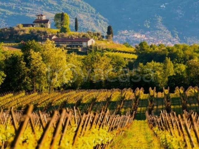 Appartamento in in affitto da privato a Erbusco via Costa, 40, giardino, box, da privato TrovaCasa