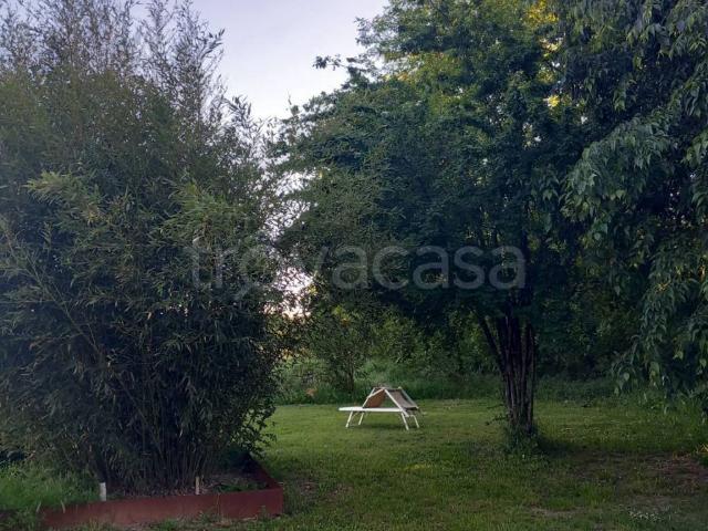 Appartamento in in affitto da privato a Formigine via delle Radici, 367, da privato TrovaCasa