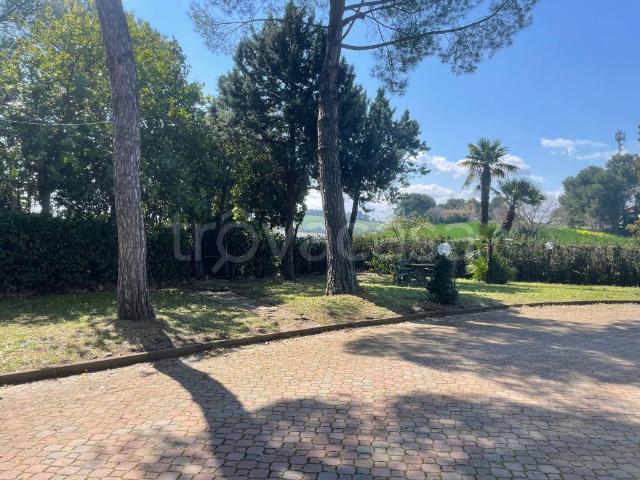 Appartamento in in affitto da privato a Falconara Marittima via Guglielmo Marconi, 146, giardino, posto auto, da privato TrovaCasa