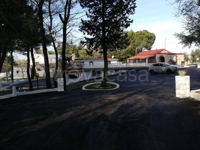 Appartamento in in affitto da privato a Fasano viale delle Querce, 118, da privato TrovaCasa
