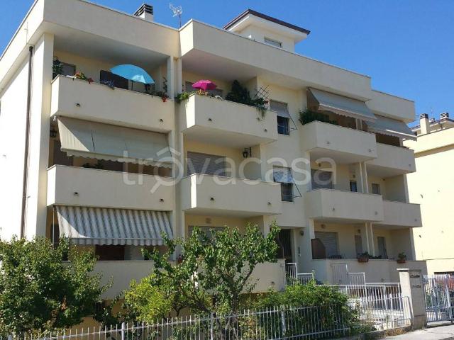 Appartamento in in affitto da privato a Fermo via Campania, 15, box, da privato, senza ascensore TrovaCasa
