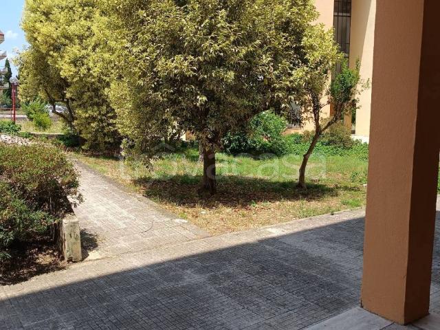 Appartamento in in affitto da privato a Itri via Eduardo De Filippo, 4, da privato TrovaCasa