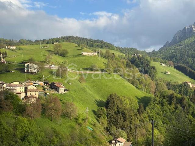 Appartamento in in affitto da privato a Oltre il Colle via Falgherino, 209, arredato, box, da privato TrovaCasa